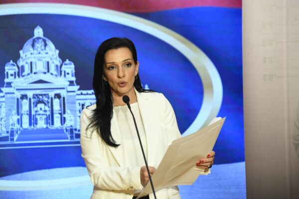 Marinika Tepić, SSP