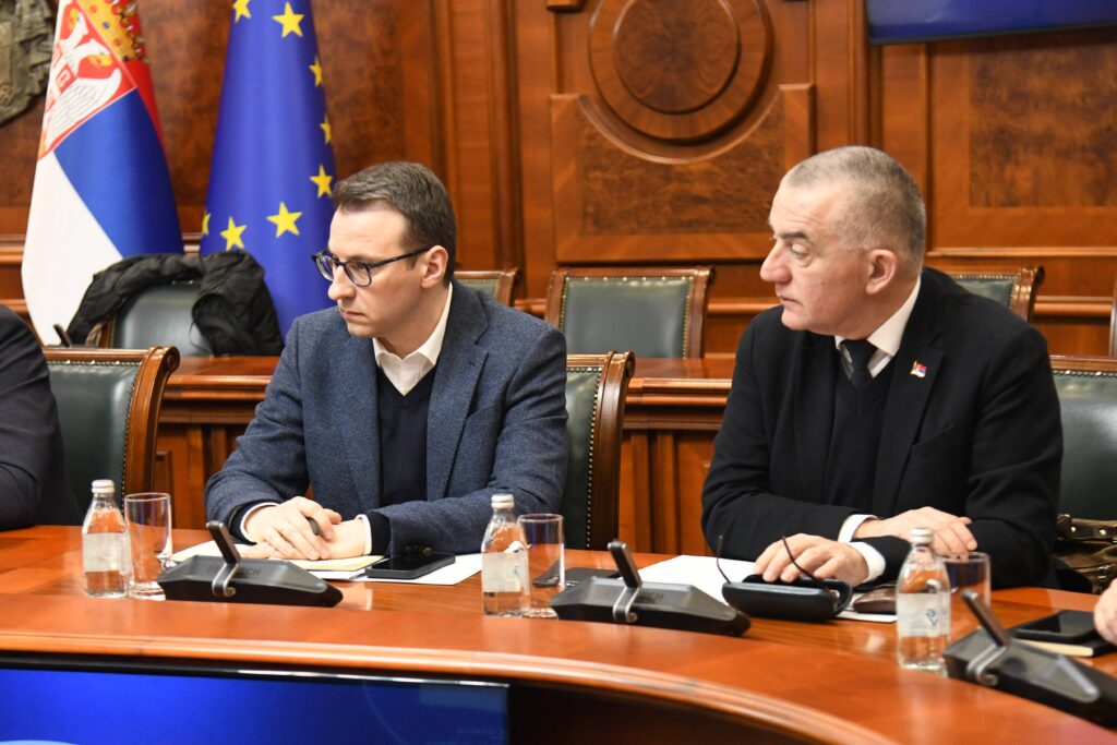 nenad vujić