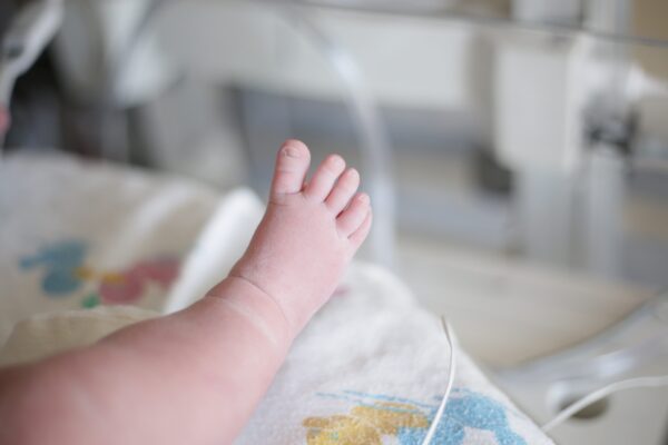 baby-feet-2026-01-06-10-26-07-utc