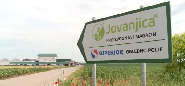 jovanjica-n1