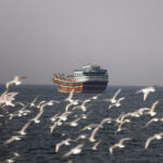 Birds fly near a boat in the Strait of Hormuz amid the U.S.-Israeli conflict with Iran, as seen from Musandam