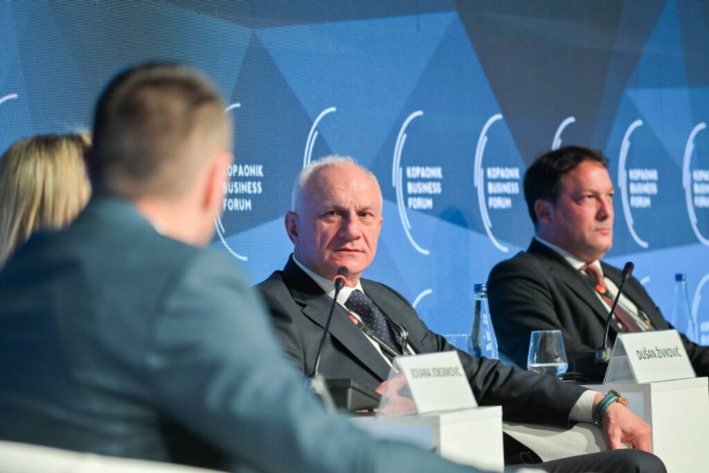 DUSAN ZIVKOVIC: EPS NA PUTU VELIKIH INVESTICIJA