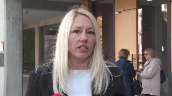Sonja Ponjavić n1 printscreen