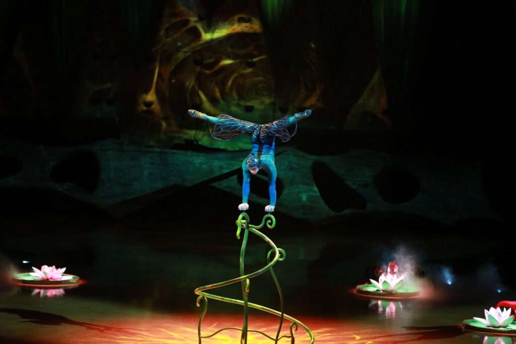 PREMIJERA PREDSTAVE „“OVO“ CIRQUE DU SOLEIL