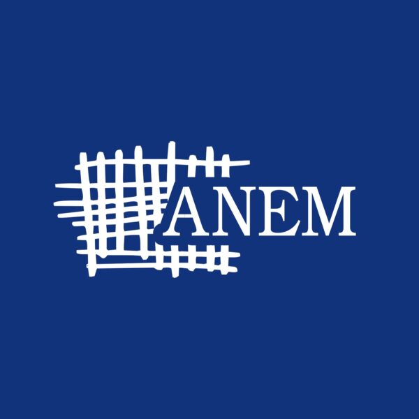 anem logo