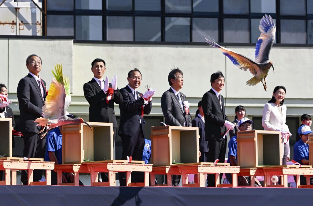 Japan Crested Ibises