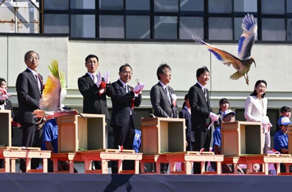 Japan Crested Ibises