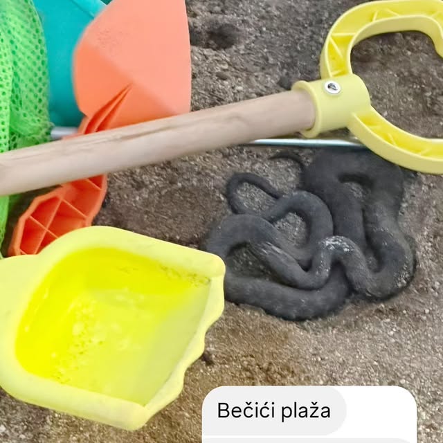 730731786_18595089409037655_626416778513585987_n