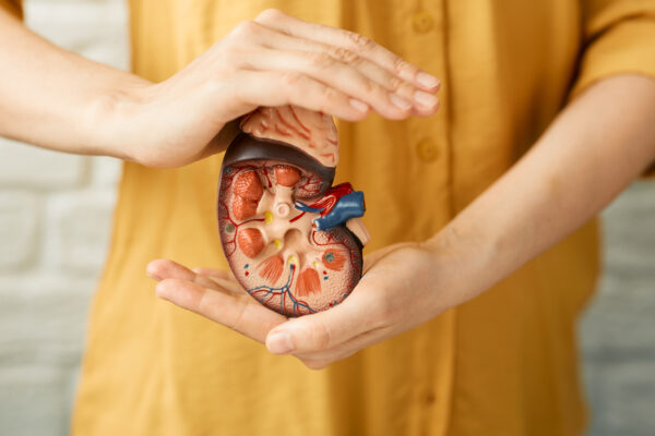 Caring for human kidney health. World kidney day