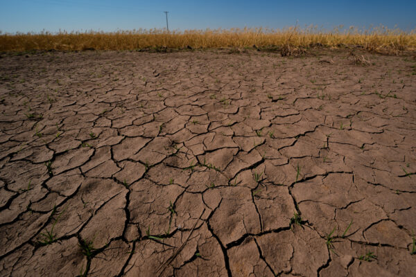 Climate El Nino