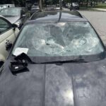 VANDALIZOVAN AUTOMOBIL SINA DINKA GRUHONJICA