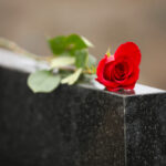 Red rose on black granite tombstone outdoors. Funeral ceremony
