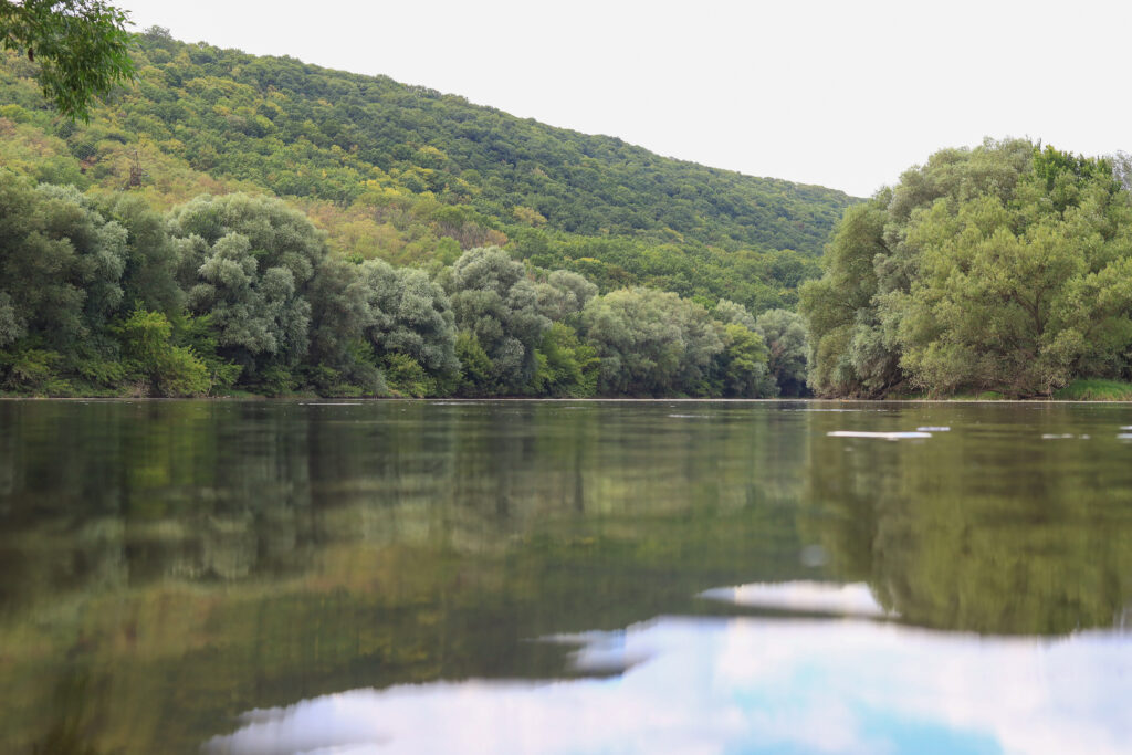 very-beautiful-river-water-surface-natural-green-2026-01-11-09-29-47-utc
