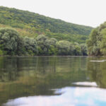very-beautiful-river-water-surface-natural-green-2026-01-11-09-29-47-utc