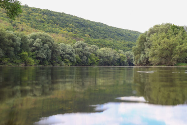 very-beautiful-river-water-surface-natural-green-2026-01-11-09-29-47-utc