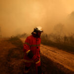 Wildfire in Lege-Cap-Ferret