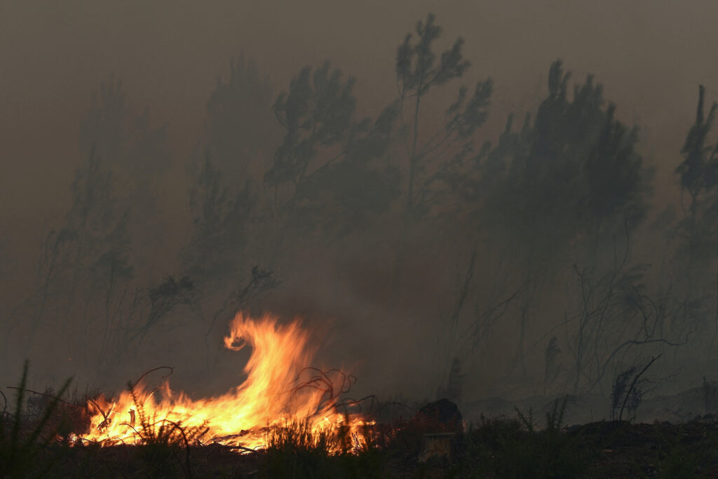 Wildfire at Ares, Gironde