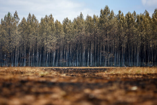 Wildfires in southwest France