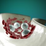 imgmidi-blood-cells-6974700_1920