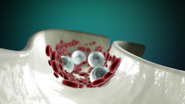 imgmidi-blood-cells-6974700_1920