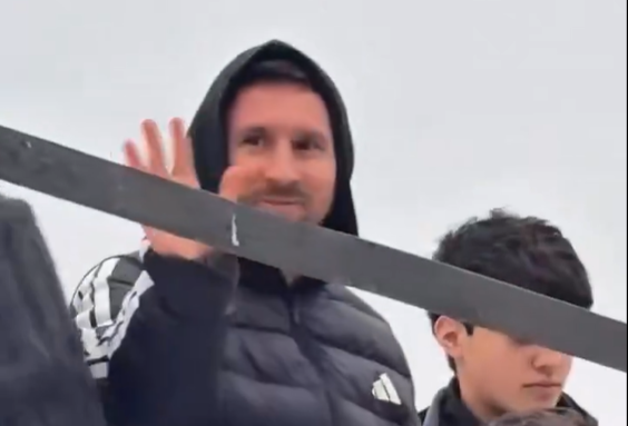 mesi