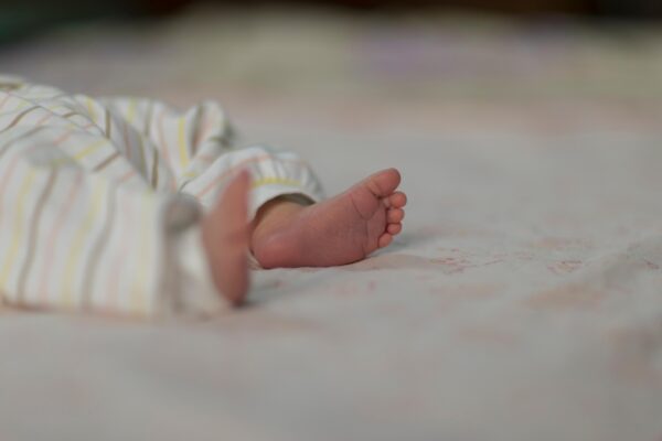 mostafa_meraji-baby-6798471_1920