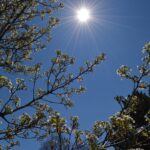 paulspics-spring-1409373_1920