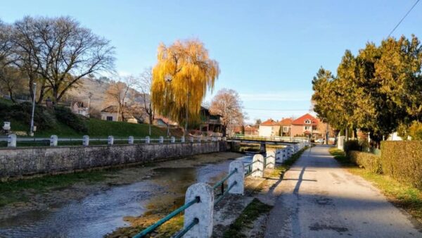 vrba palanka