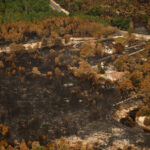 Wildfires in France