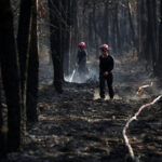 Wildfires in southwest France