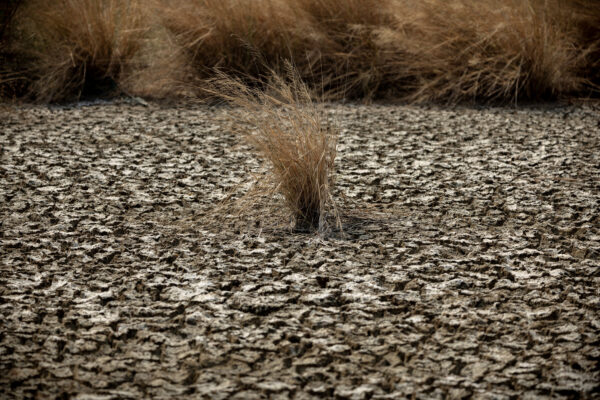 Indonesia’s salt fields bloom under drought from El Nino’s baking heat