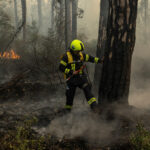Wildfire burns in Serbia