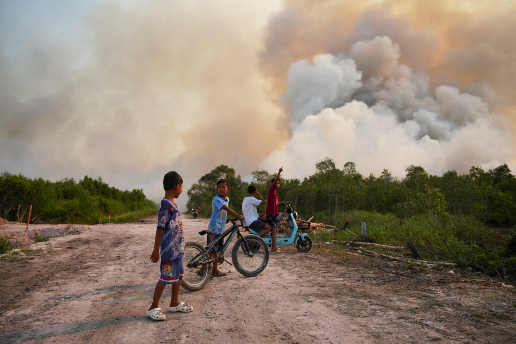 Wildfire in Ogan Ilir regency, South Sumatra province
