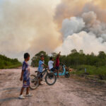 Wildfire in Ogan Ilir regency, South Sumatra province