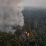 Wildfire burns in Serbia