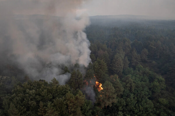 Wildfire burns in Serbia