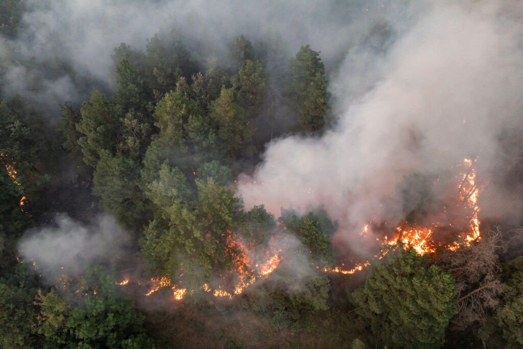 Wildfire burns in Serbia