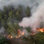 Wildfire burns in Serbia