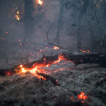Wildfire burns in Serbia