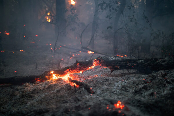Wildfire burns in Serbia
