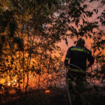 Wildfire burns in Serbia
