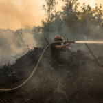 Wildfire burns in Serbia