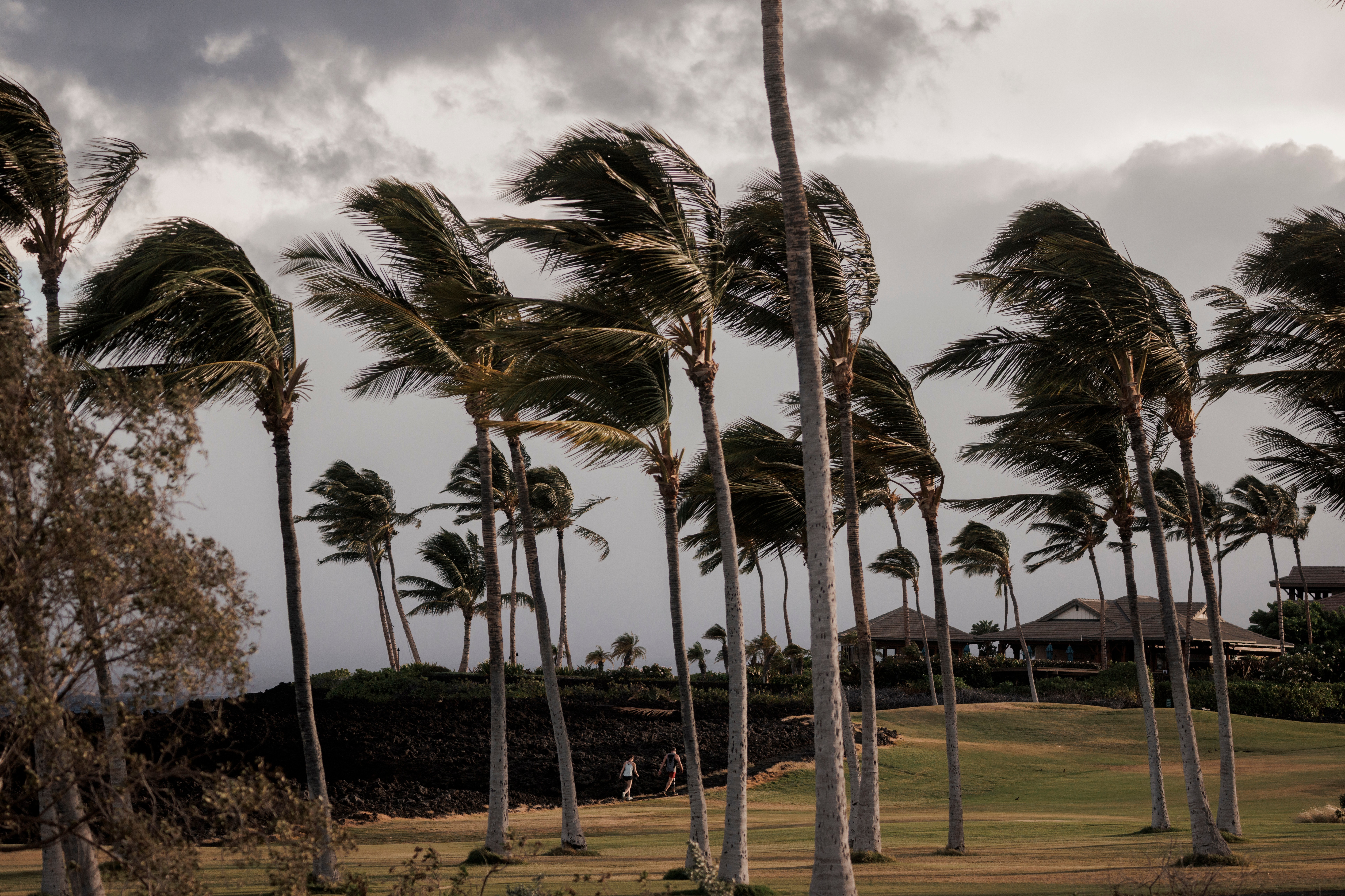 Tropical Weather Hawaii