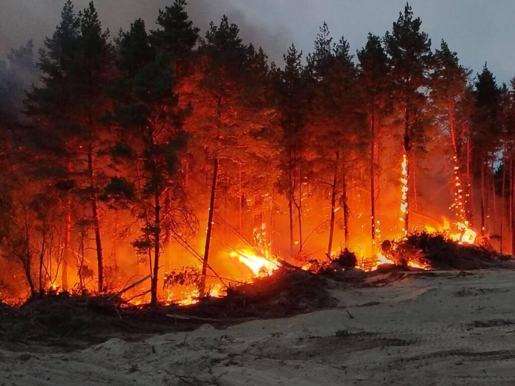 deliblatska peščara