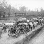 Povlačenje srpske vojske u oktobru 1915. godine