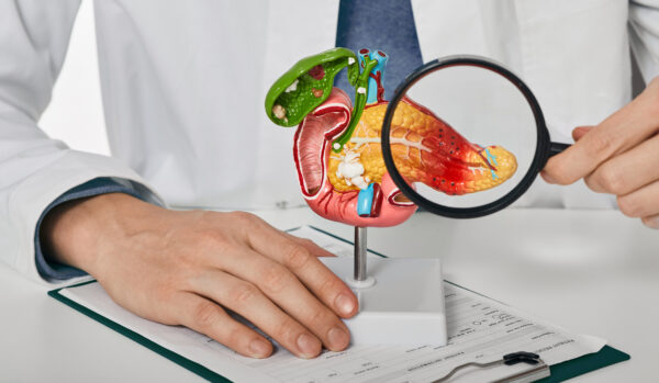 Diagnosis and treatment of pancreatic disease. Doctor consulting patient with acute pancreatitis patient pointing out pancreatic disease on anatomical model