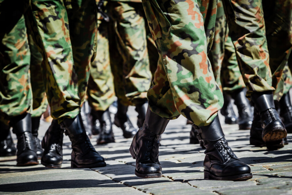 Polish army – independence day parade