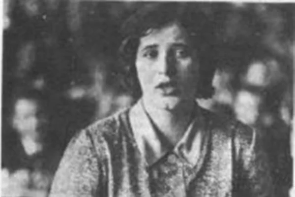 šefka hodžić