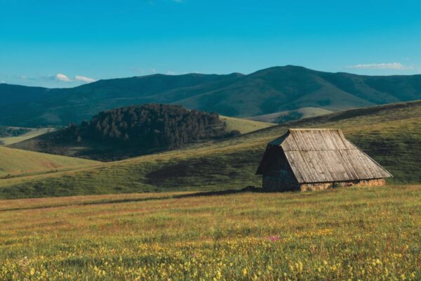 shepherd-cottage-on-zlatibor-hill-slope-in-serbia-2026-03-16-04-26-00-utc