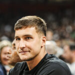 bogdan bogdanović
